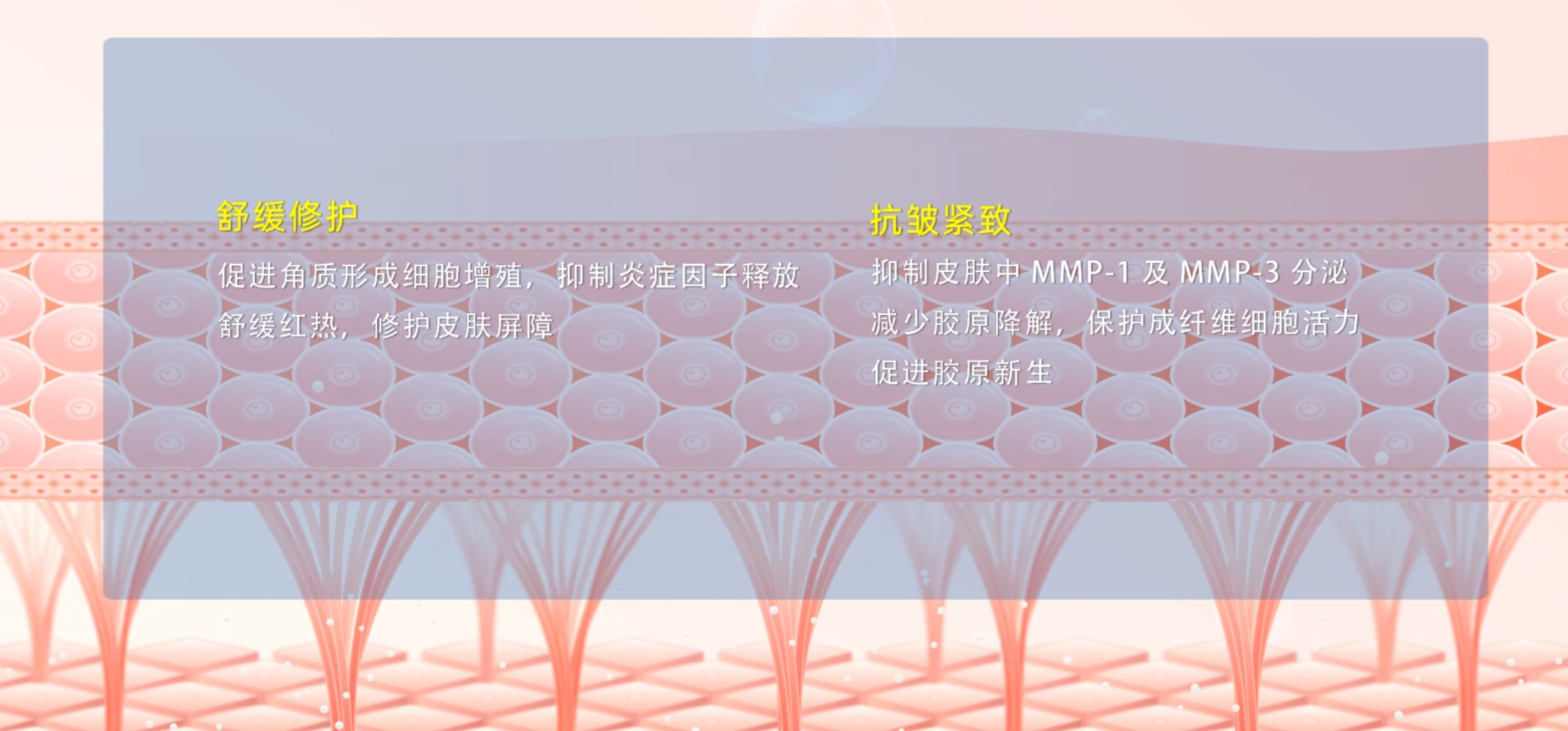 微信截圖_20240823093448